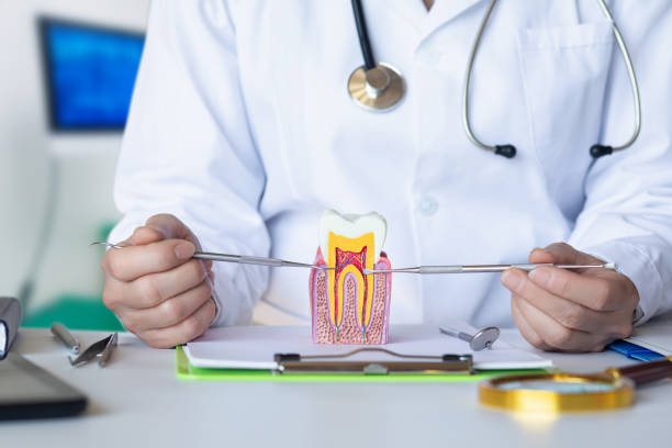 Best 24-Hour Emergency Dental Care in Laverne, OK